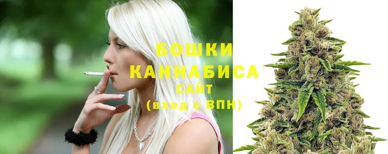 Бошки Шишки SATIVA & INDICA  darknet телеграм  Кировск 